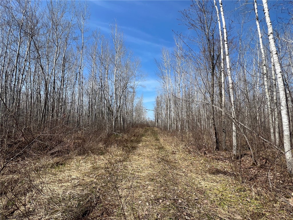 1573075 Property Photo 22