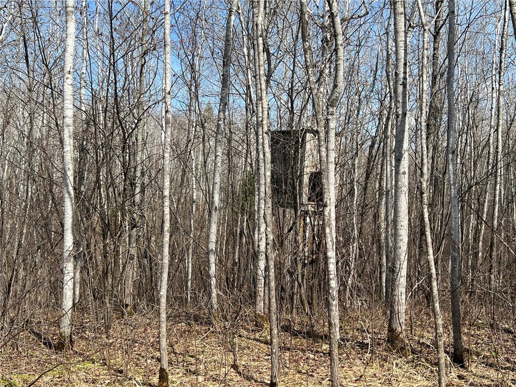 1573075 Property Photo 23