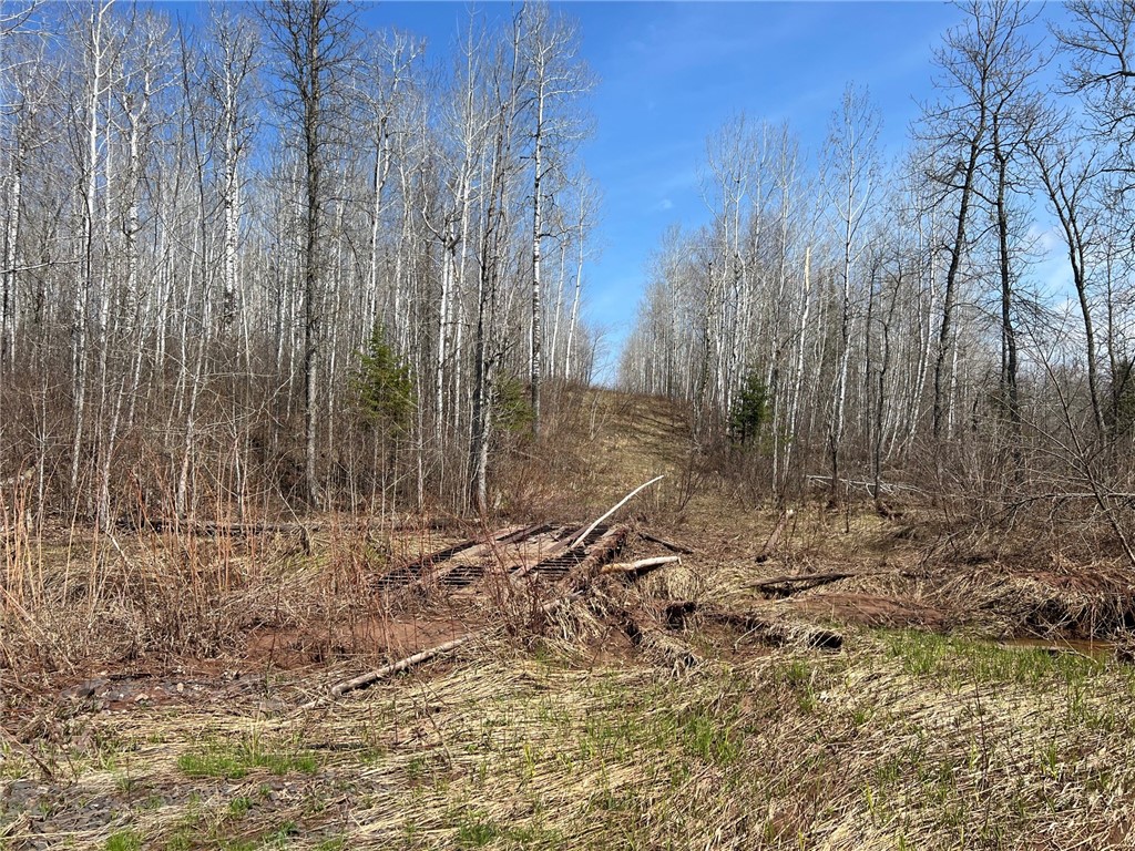 1573075 Property Photo 24