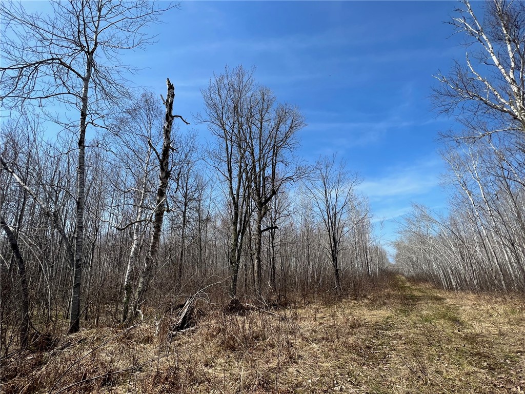 1573075 Property Photo 25