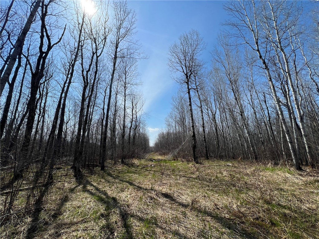 1573075 Property Photo 26