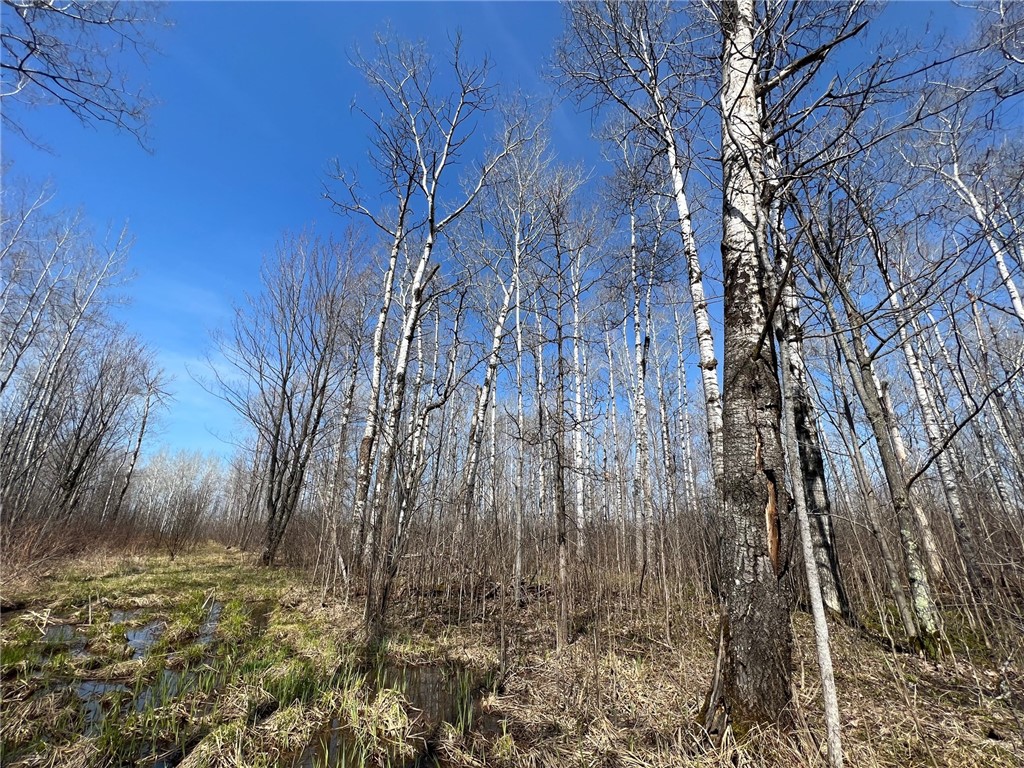 1573075 Property Photo 28