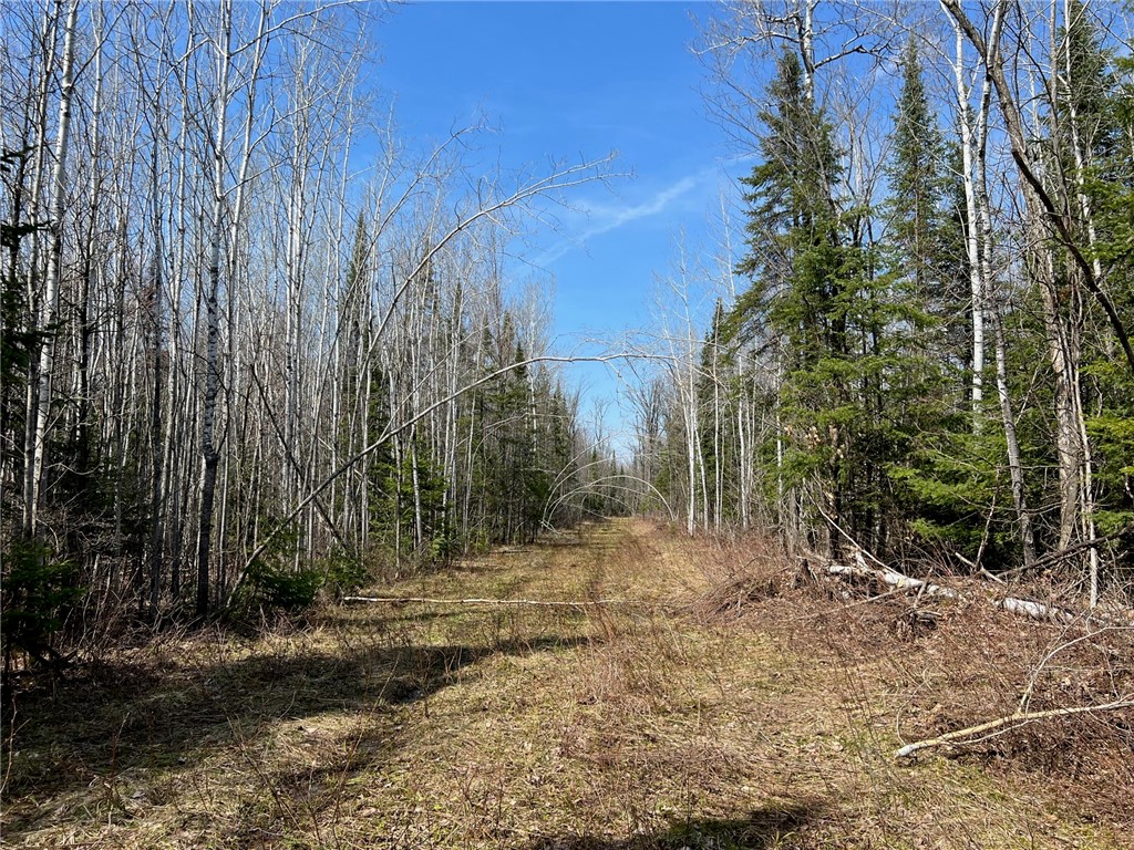 11tbd Gulley Road Property Photo 7