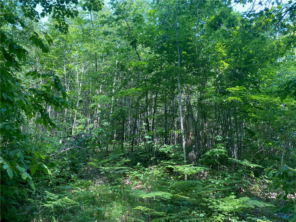 Lot 7 Secluded Trail Property Photo 8