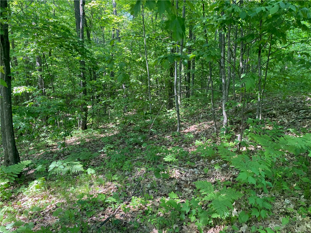 Lot 7 Secluded Trail Property Photo 9