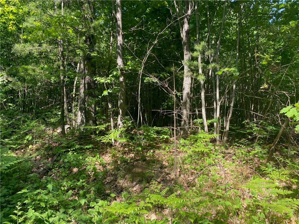 Lot 7 Secluded Trail Property Photo 10