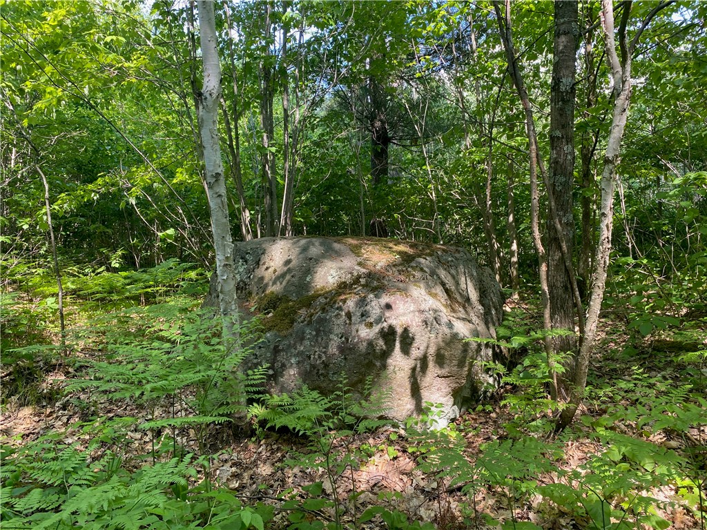Lot 7 Secluded Trail Property Photo 11