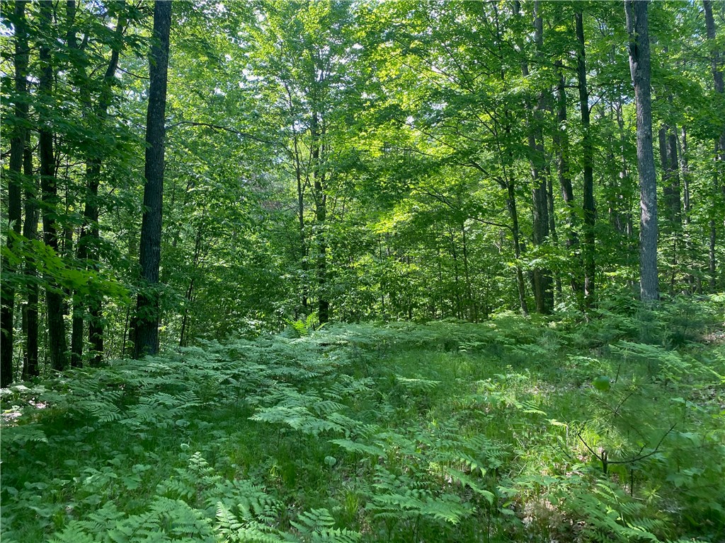 Lot 7 Secluded Trail Property Photo 12