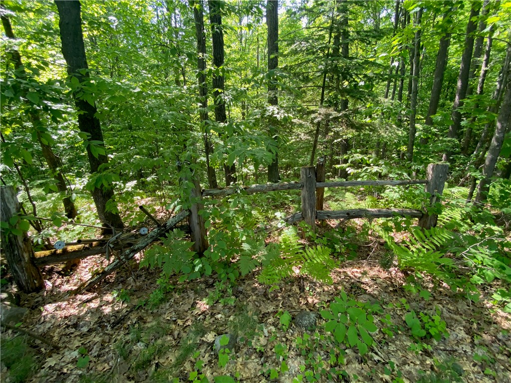 Lot 7 Secluded Trail Property Photo 13