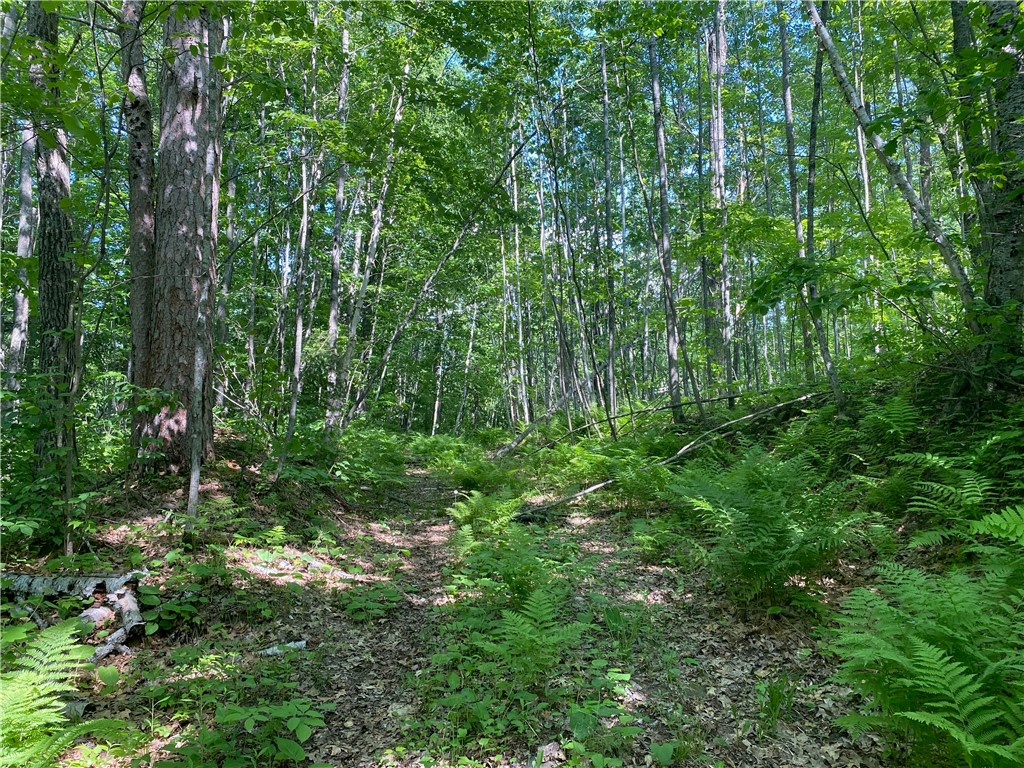 Lot 7 Secluded Trail Property Photo 23
