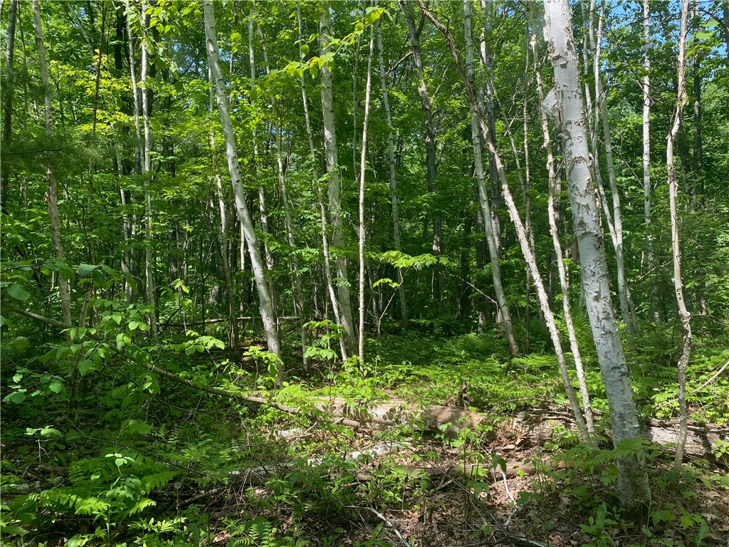 Lot 7 Secluded Trail Property Photo 24