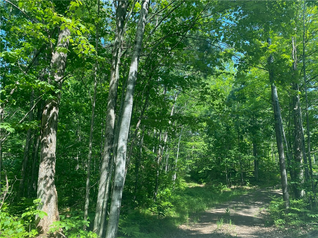 Lot 7 Secluded Trail Property Photo 25
