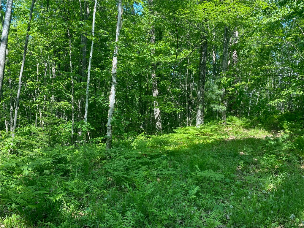 Lot 7 Secluded Trail Property Photo 26
