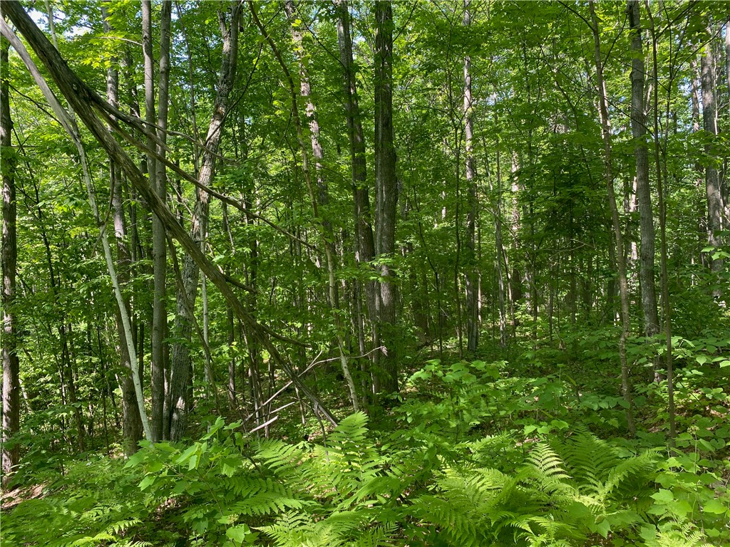 Lot 7 Secluded Trail Property Photo 27