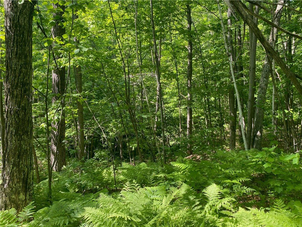 Lot 7 Secluded Trail Property Photo 28
