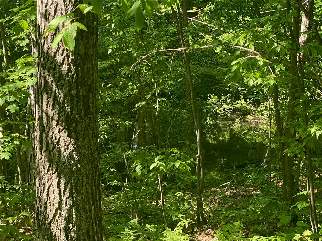 Lot 7 Secluded Trail Property Photo 29