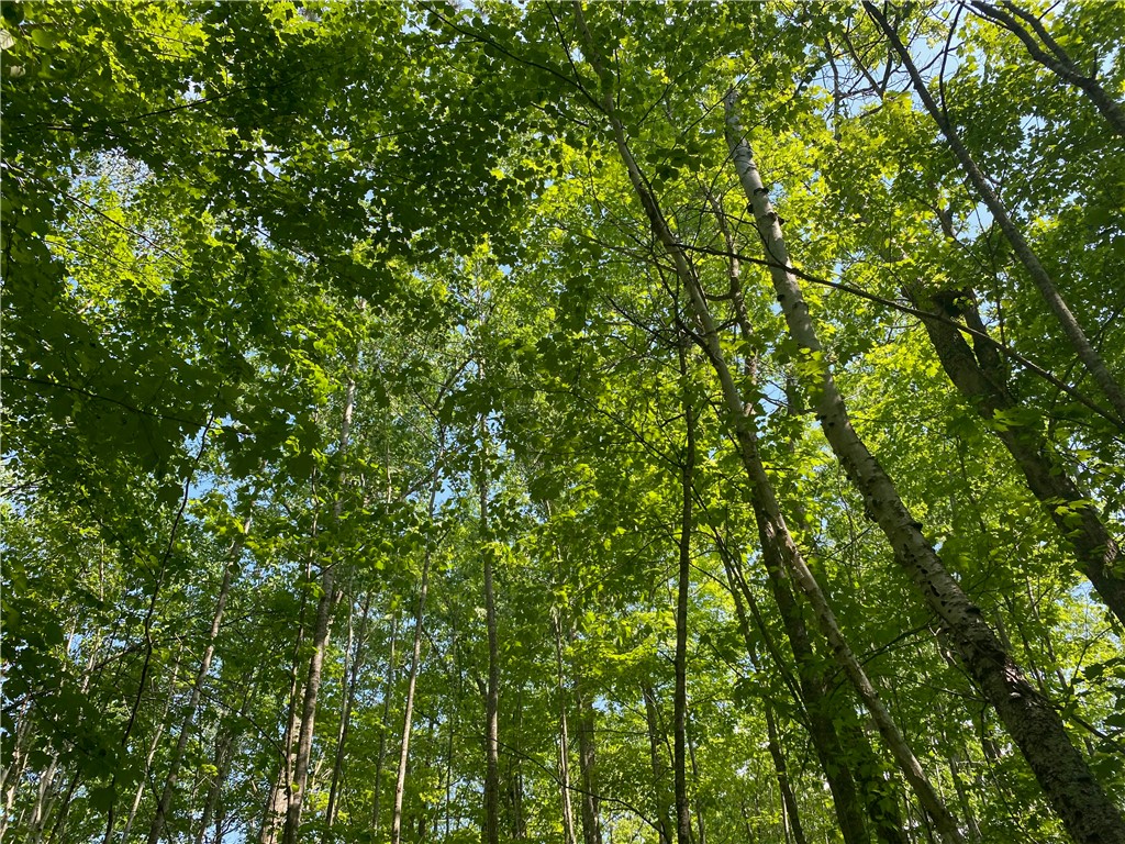 Lot 7 Secluded Trail Property Photo 30