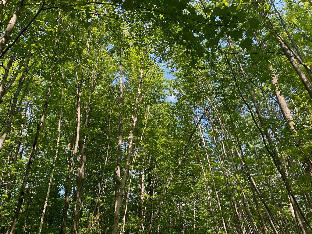 Lot 7 Secluded Trail Property Photo 31