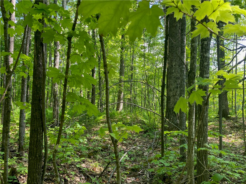Lot 7 Secluded Trail Property Photo 32
