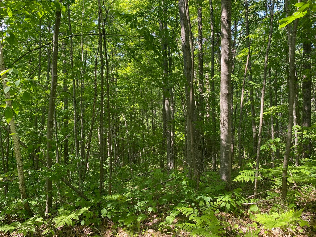 Lot 7 Secluded Trail Property Photo 33