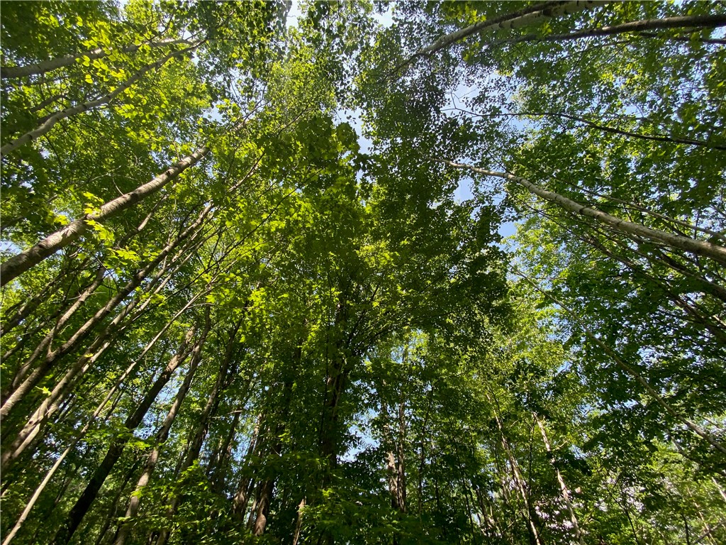Lot 7 Secluded Trail Property Photo 34
