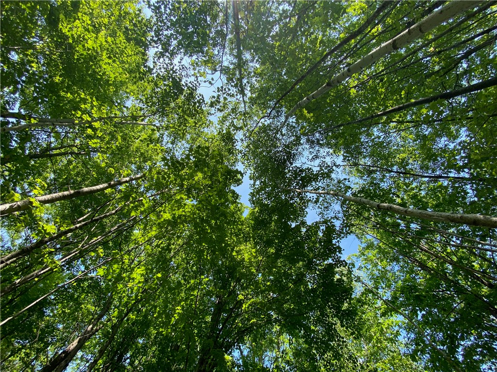 Lot 7 Secluded Trail Property Photo 35