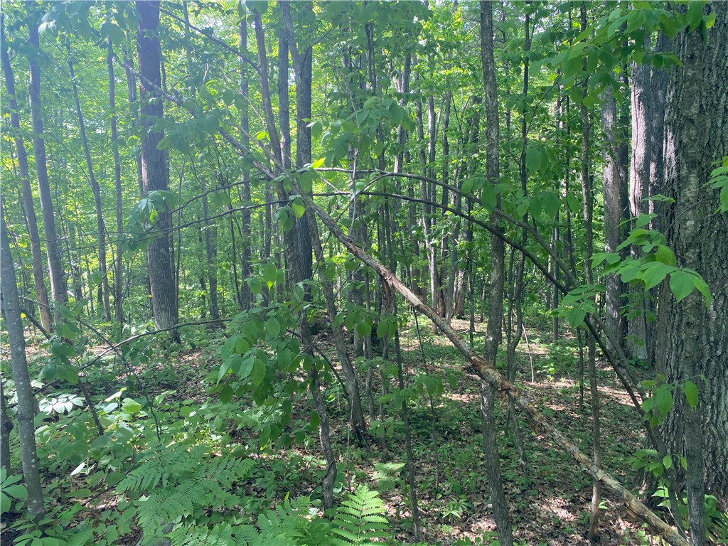 Lot 7 Secluded Trail Property Photo 37