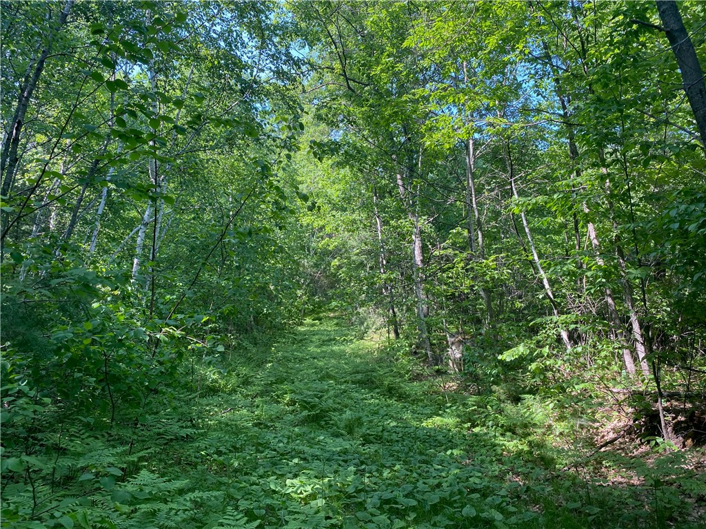 Lot 7 Secluded Trail Property Photo 38