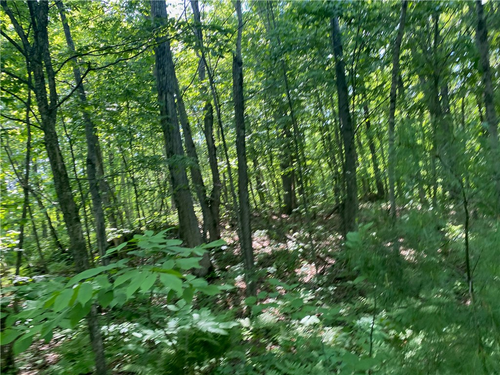 Lot 7 Secluded Trail Property Photo 39