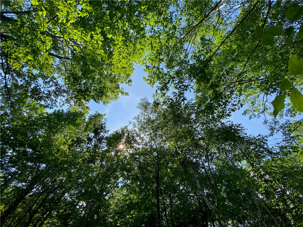 Lot 7 Secluded Trail Property Photo 40