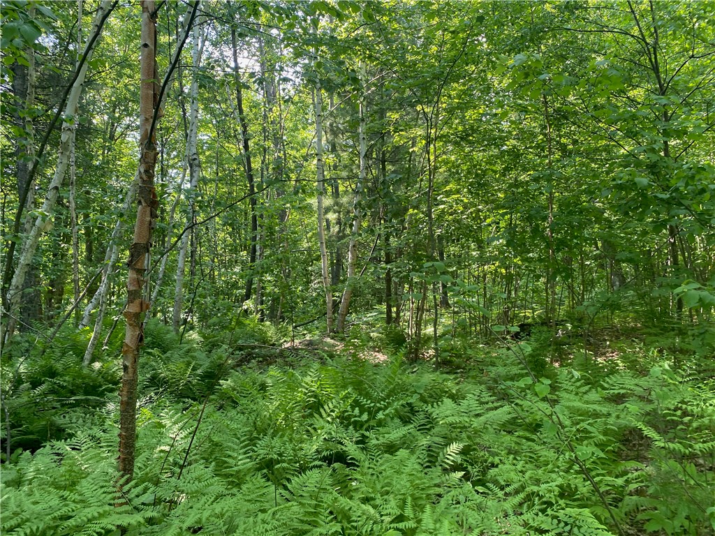 Lot 7 Secluded Trail Property Photo 41