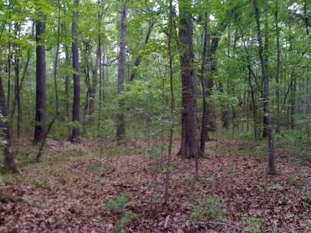 Lot 34 Half Moon Trail Property Photo 12