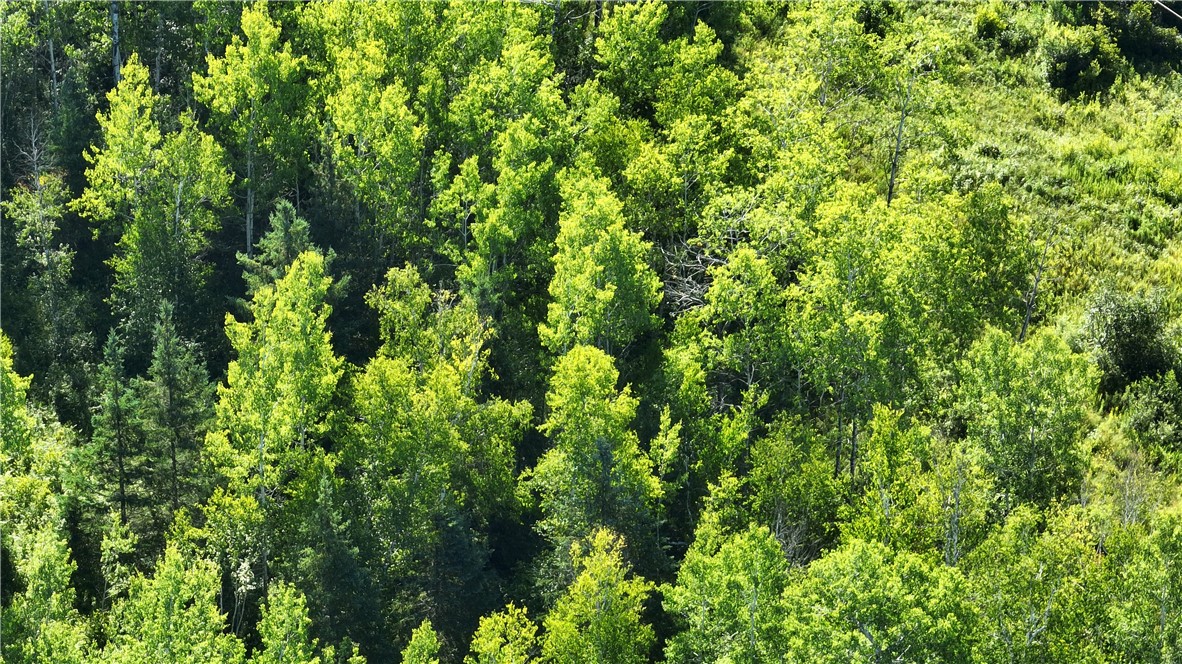 Xx Highway 13 Property Photo 15