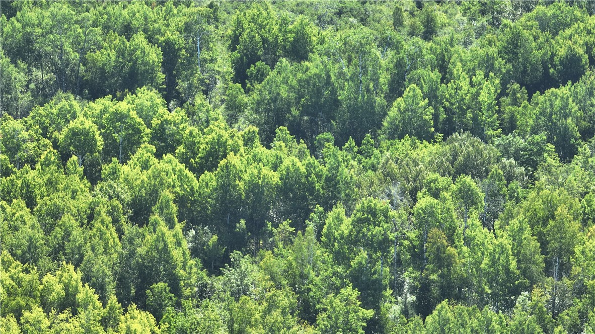 Xx Highway 13 Property Photo 16