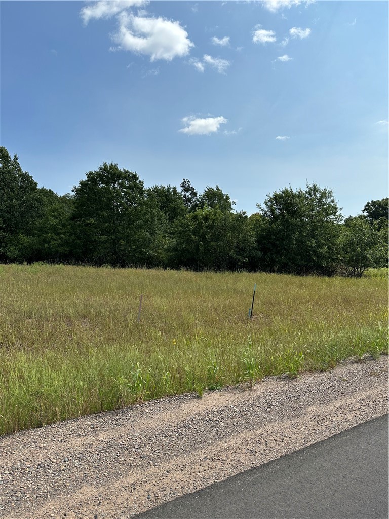 Lot 63 37th Avenue Property Photo 2