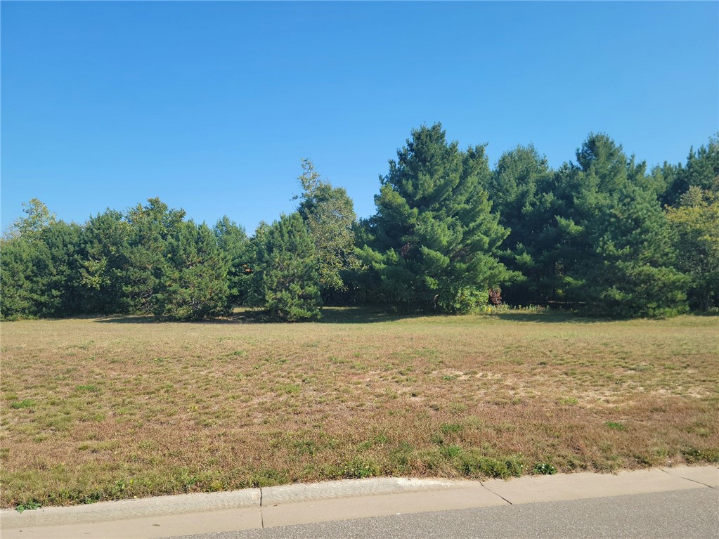 Lot 3 Charlotte Street/range Road Property Photo 1