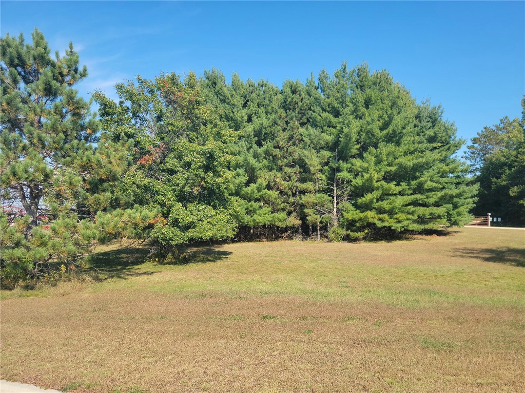 Lot 3 Charlotte Street/range Road Property Photo 2