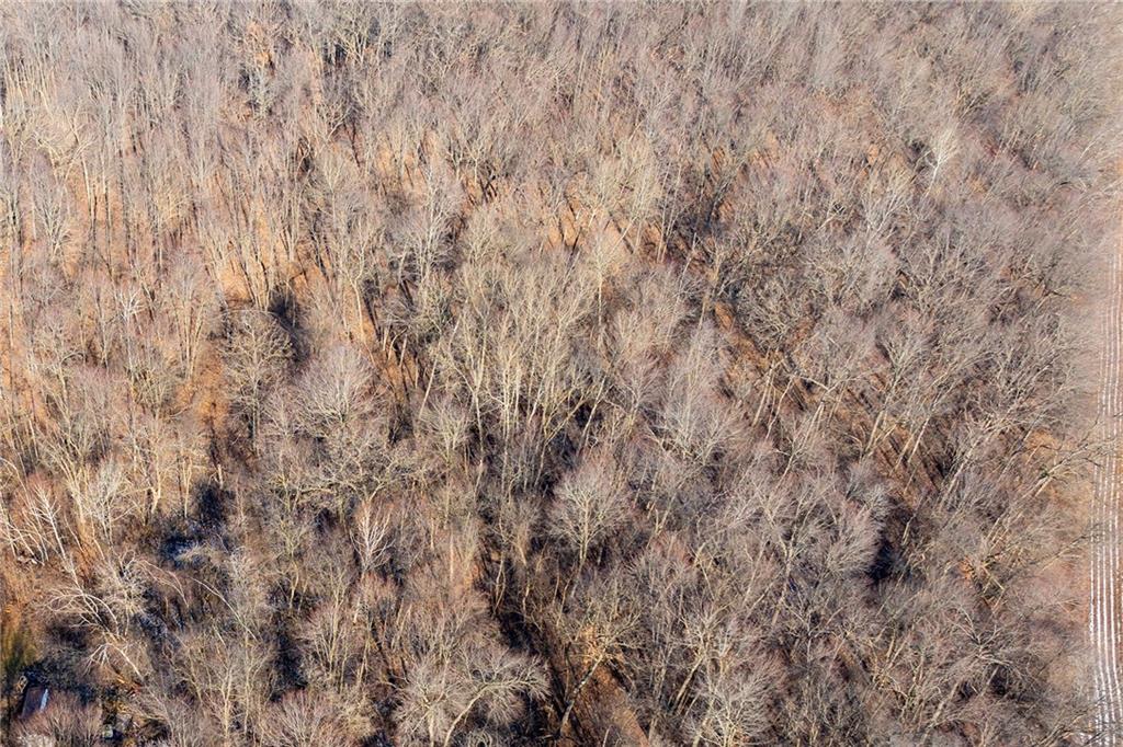 Lot 3, 9 Acres County Hwy N Frontage Road Property Photo 15