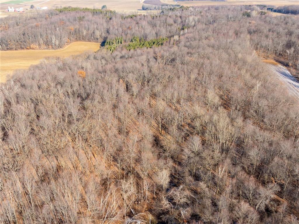 Lot 3, 9 Acres County Hwy N Frontage Road Property Photo 16