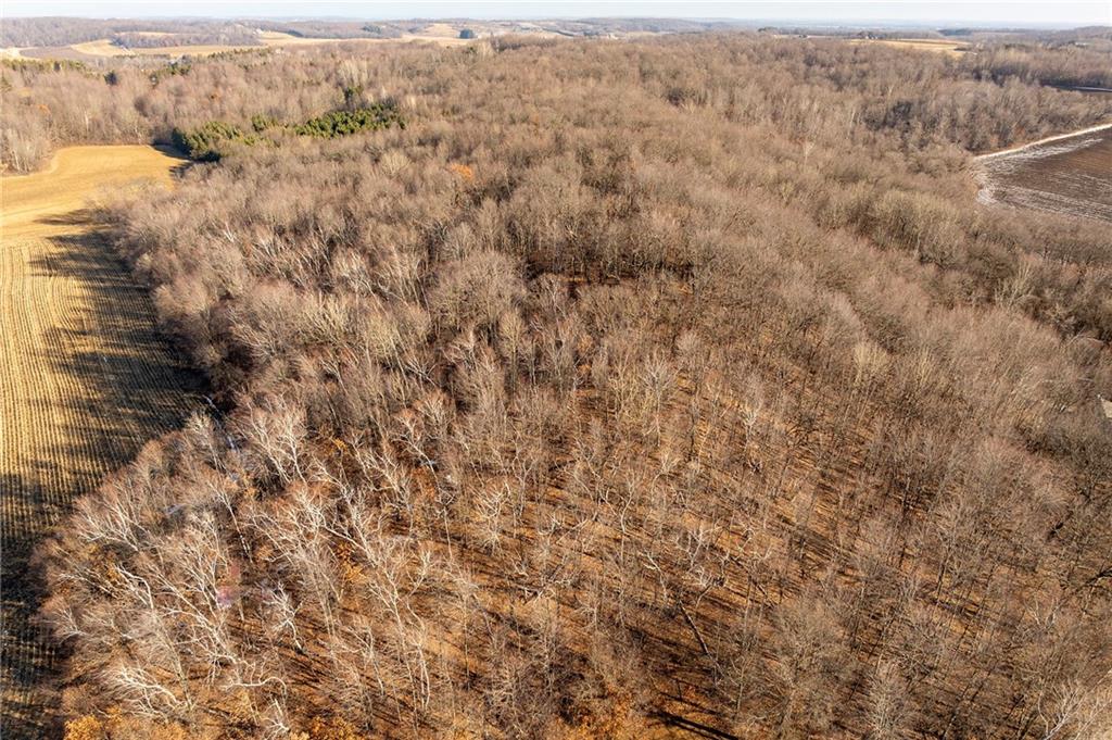 Lot 3, 9 Acres County Hwy N Frontage Road Property Photo 17