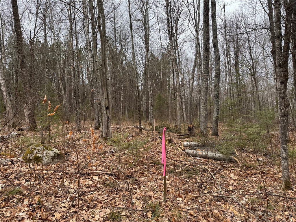 Lot 3 Scheers Road Property Photo 3