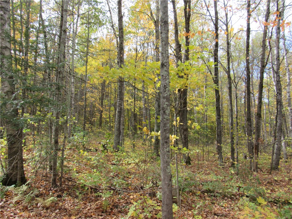 Lot 3 Scheers Road Property Photo 4