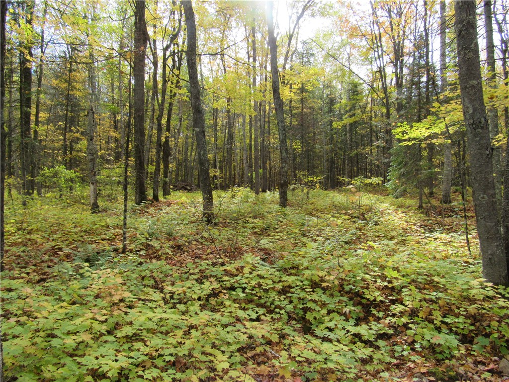 Lot 3 Scheers Road Property Photo 6