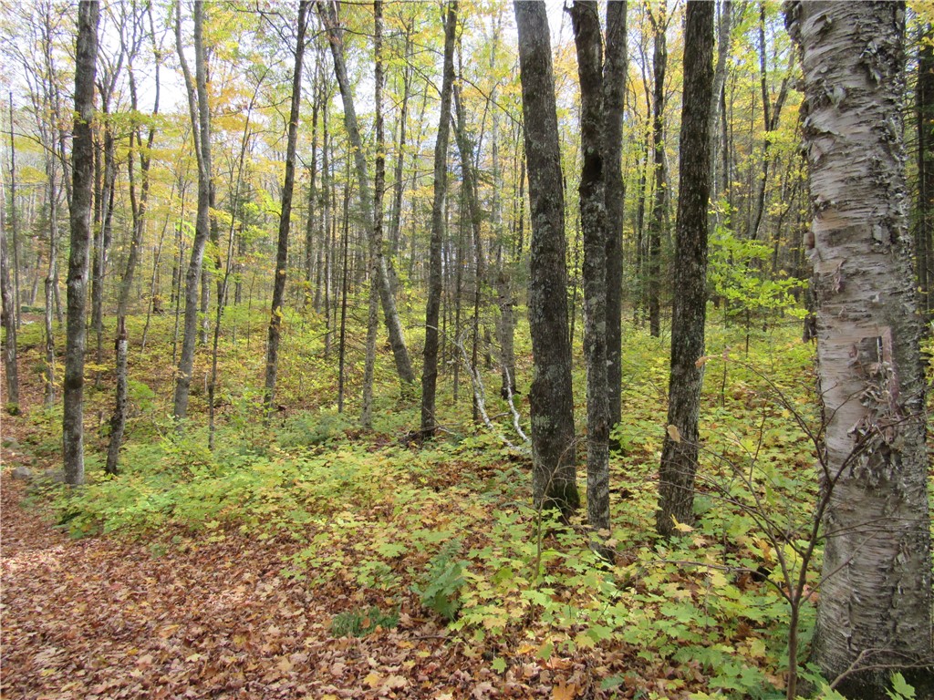 Lot 3 Scheers Road Property Photo 7