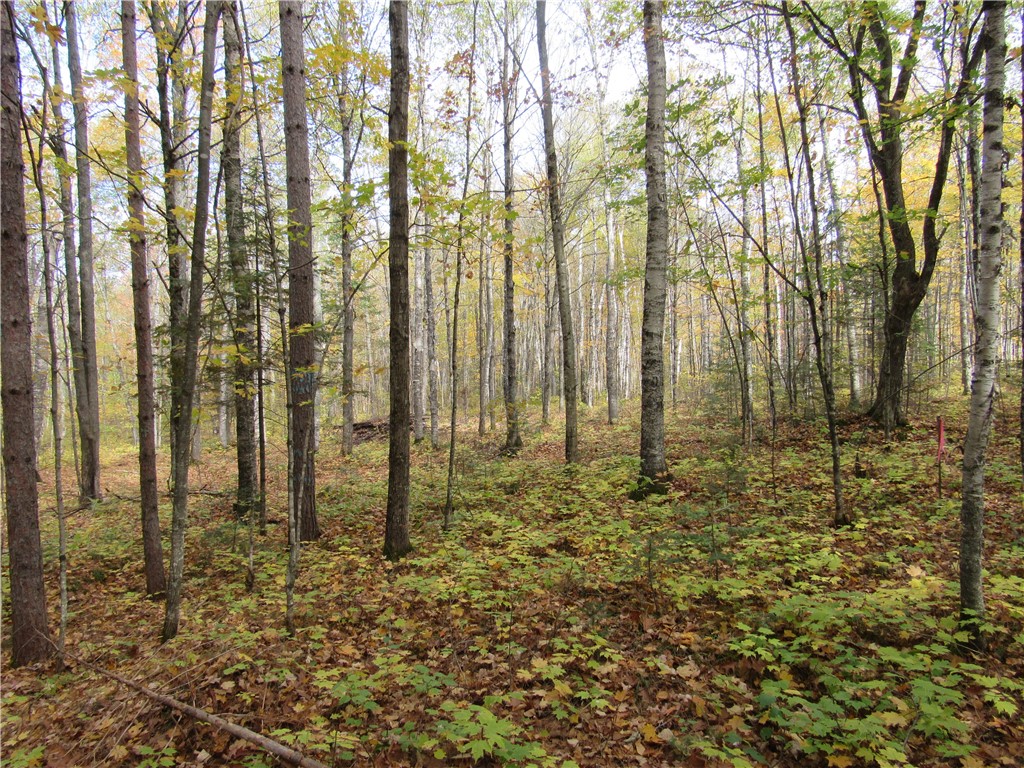 Lot 3 Scheers Road Property Photo 8