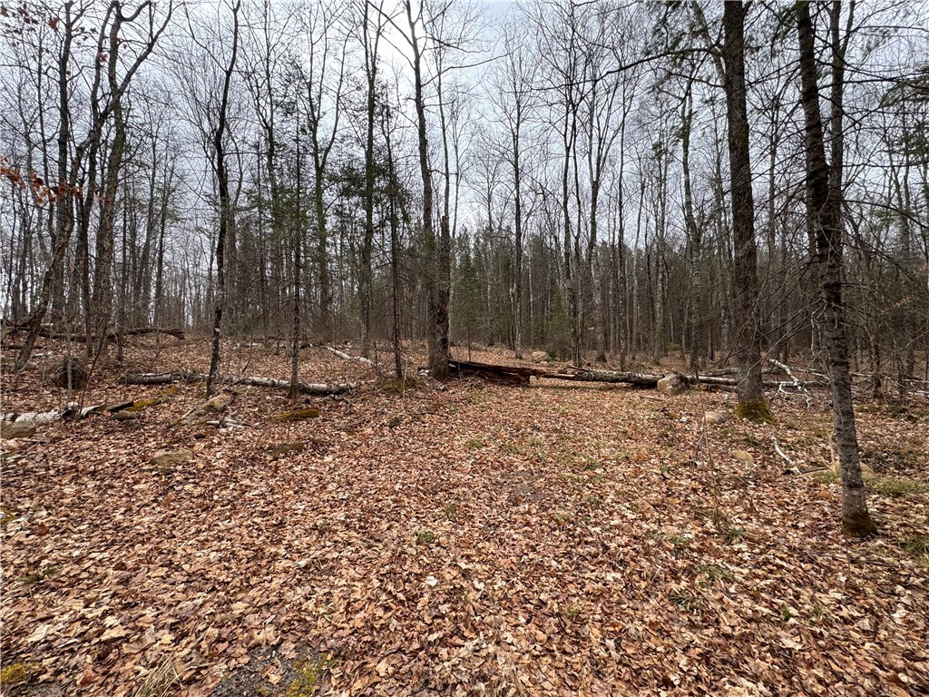 Lot 3 Scheers Road Property Photo 11