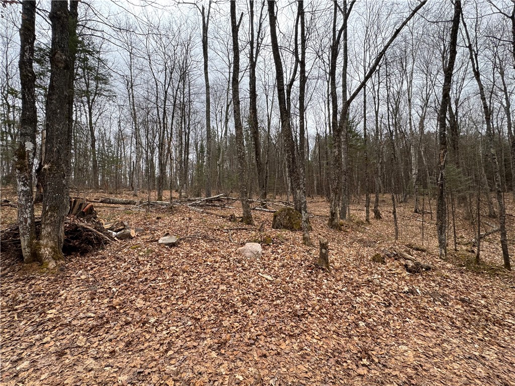 Lot 3 Scheers Road Property Photo 12