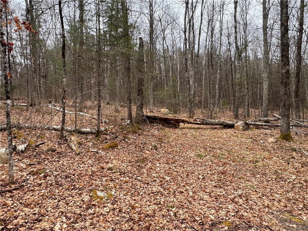 Lot 3 Scheers Road Property Photo 13