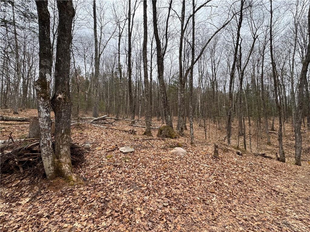 Lot 3 Scheers Road Property Photo 14