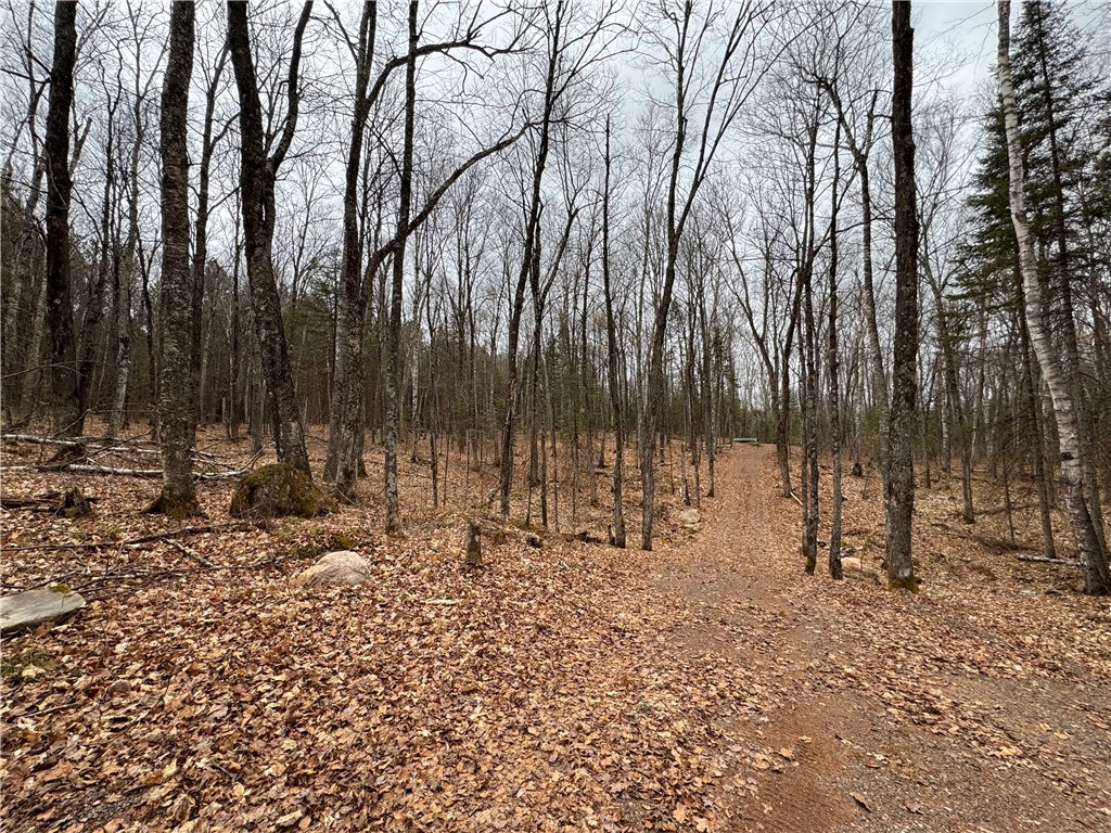 Lot 3 Scheers Road Property Photo 15